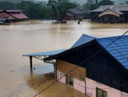 Banjir Bandang di Lampung: Penyebab, Dampak, dan Upaya Penanganan